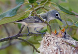 DSC_5328a.jpg