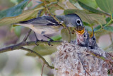 DSC_5833a.jpg
