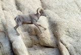 DSC_0271a.jpg