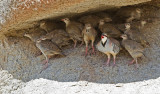 DSC_1470a.jpg