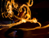 DSC_2045a.jpg