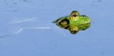 DSC_2798a.jpg
