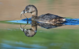 DSC_3358a.jpg