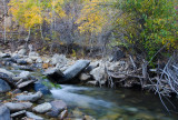 DSC_5510a.jpg