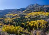 DSC_5549a.jpg
