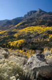 DSC_5568a.jpg