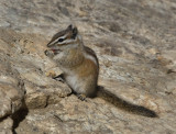 DSC_5692a.jpg
