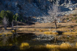 DSC_5789a.jpg