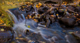 DSC_5932a.jpg