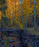 DSC_5992a.jpg