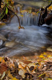 DSC_6072a.jpg