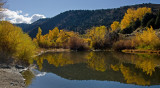 DSC_6339a.jpg