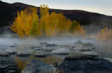 DSC_6363aC.jpg