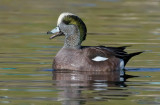 DSC_8924a.jpg