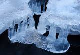 DSC_2866b.jpg