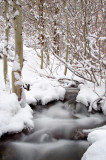 DSC_4729b.jpg