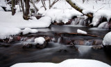 DSC_4761a.jpg