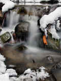 DSC_4855b.jpg