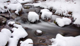 DSC_4898a.jpg