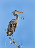 DSC_9227a.jpg