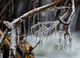 DSC_1179a.jpg