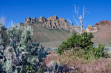 DSC_3844a.jpg