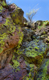 DSC_3877a.jpg