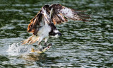 DSC_5976d.jpg
