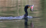 DSC_6686b.jpg
