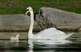 DSC_8261a.jpg