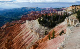 DSC_3345a.jpg