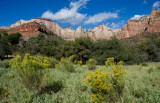 DSC_3478a.jpg