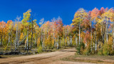 DSC_3823a.jpg