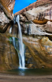 DSC_4179ab.jpg