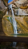 DSC_4206b.jpg