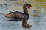 DSC_5378a.jpg