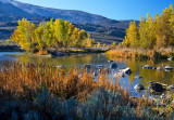 DSC_5562aC.jpg