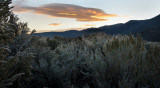 DSC_5606bC.jpg