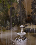 DSC_5948a.jpg