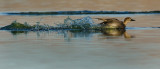 DSC_7180a.jpg