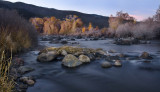 DSC_7603e.jpg