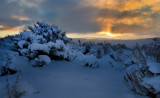 DSC_7729dC.jpg