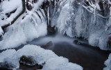 DSC_7769bb.jpg
