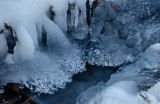 DSC_7934a.jpg