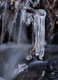 DSC_8320a.jpg