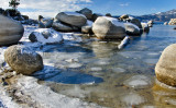 DSC_8481a.jpg