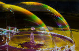 DSC_2262a.jpg