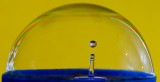 DSC_3121a.jpg