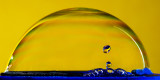 DSC_3400a.jpg