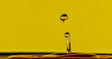 DSC_3537a.jpg